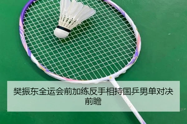 樊振东全运会前加练反手相持国乒男单对决前瞻